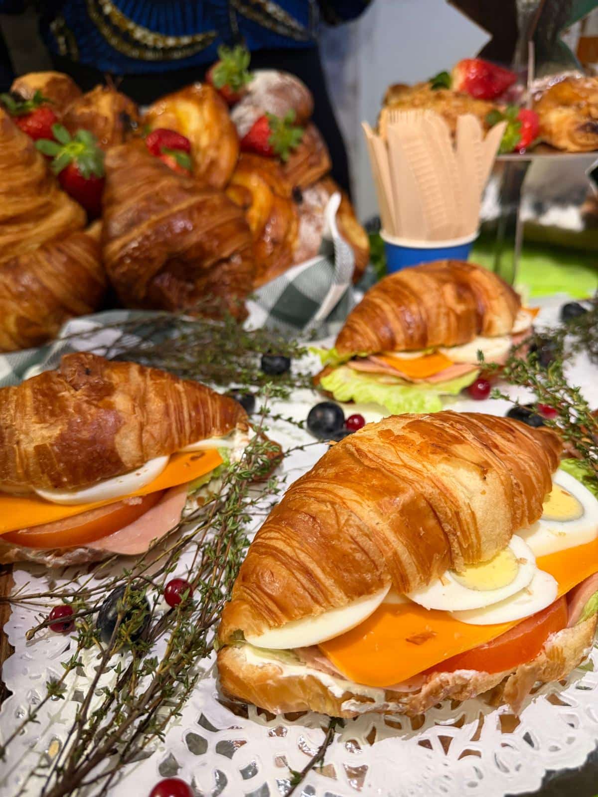 WhatsApp Image 2026-02-16 at 22.44.28 (2)