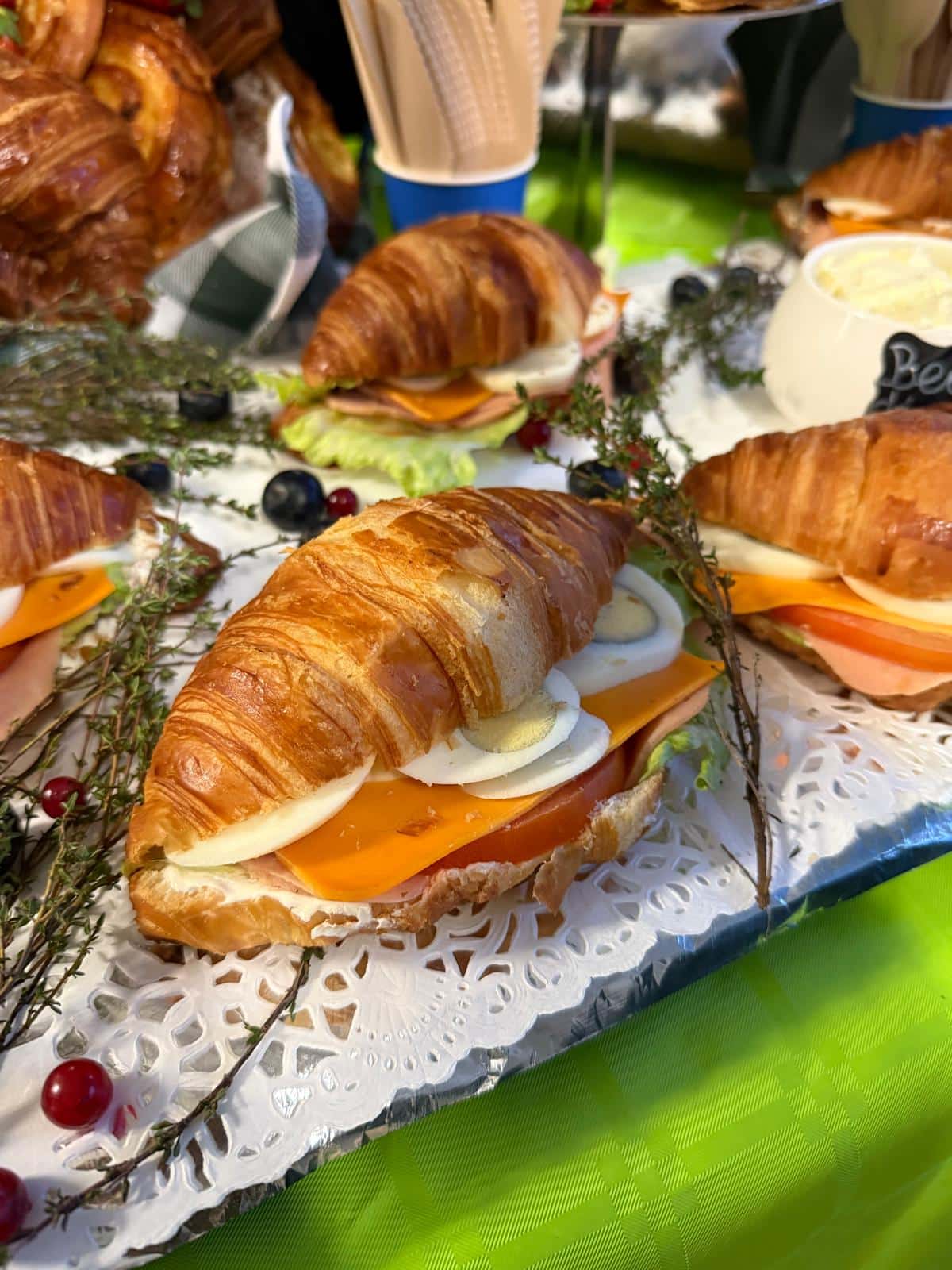 WhatsApp Image 2026-02-16 at 22.44.50 (2)