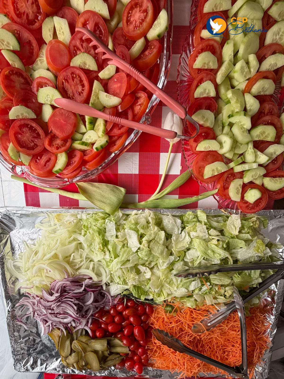 WhatsApp Image 2026-03-14 at 10.41.21 (3)