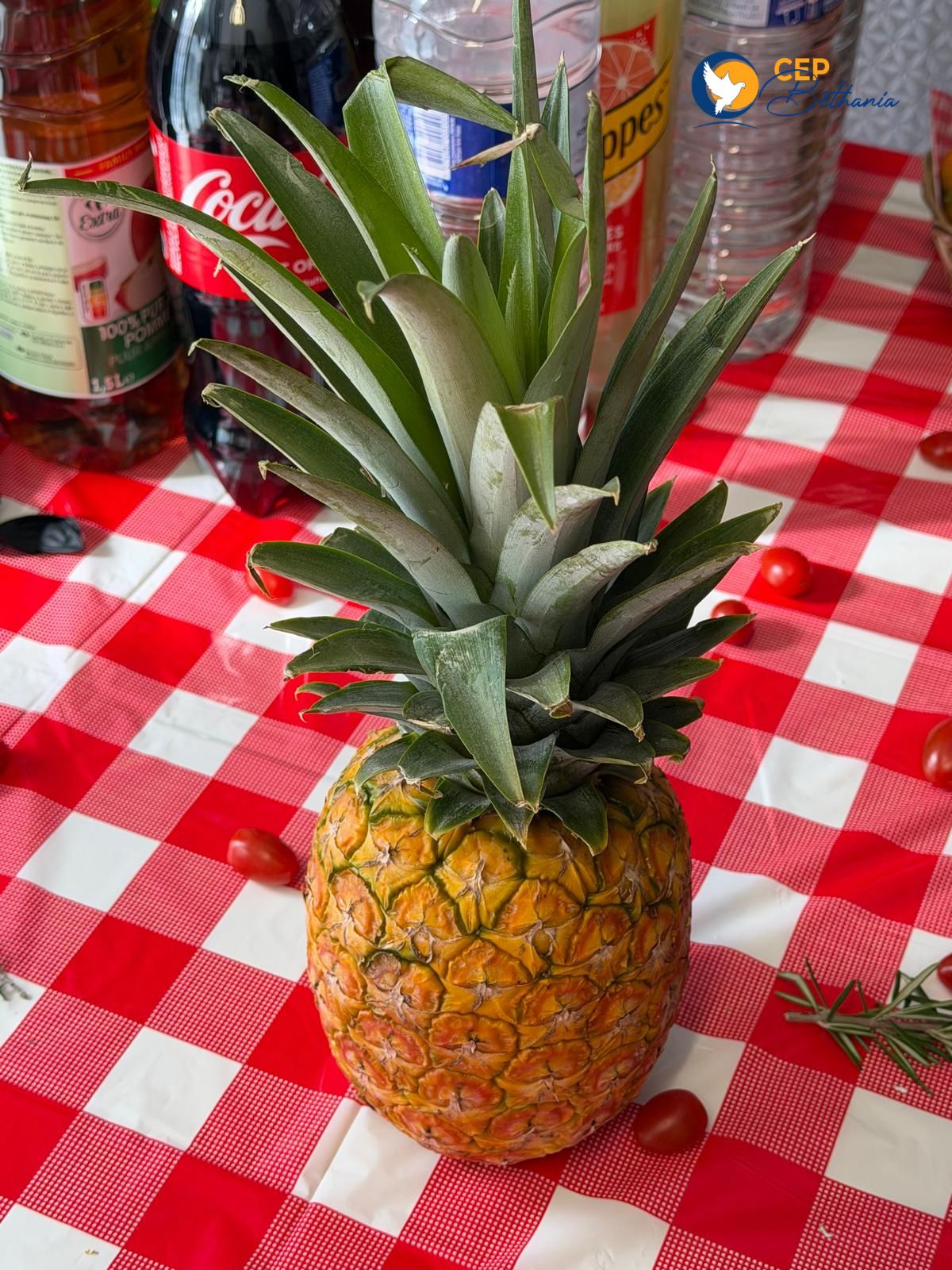 WhatsApp Image 2026-03-14 at 10.41.22 (1)